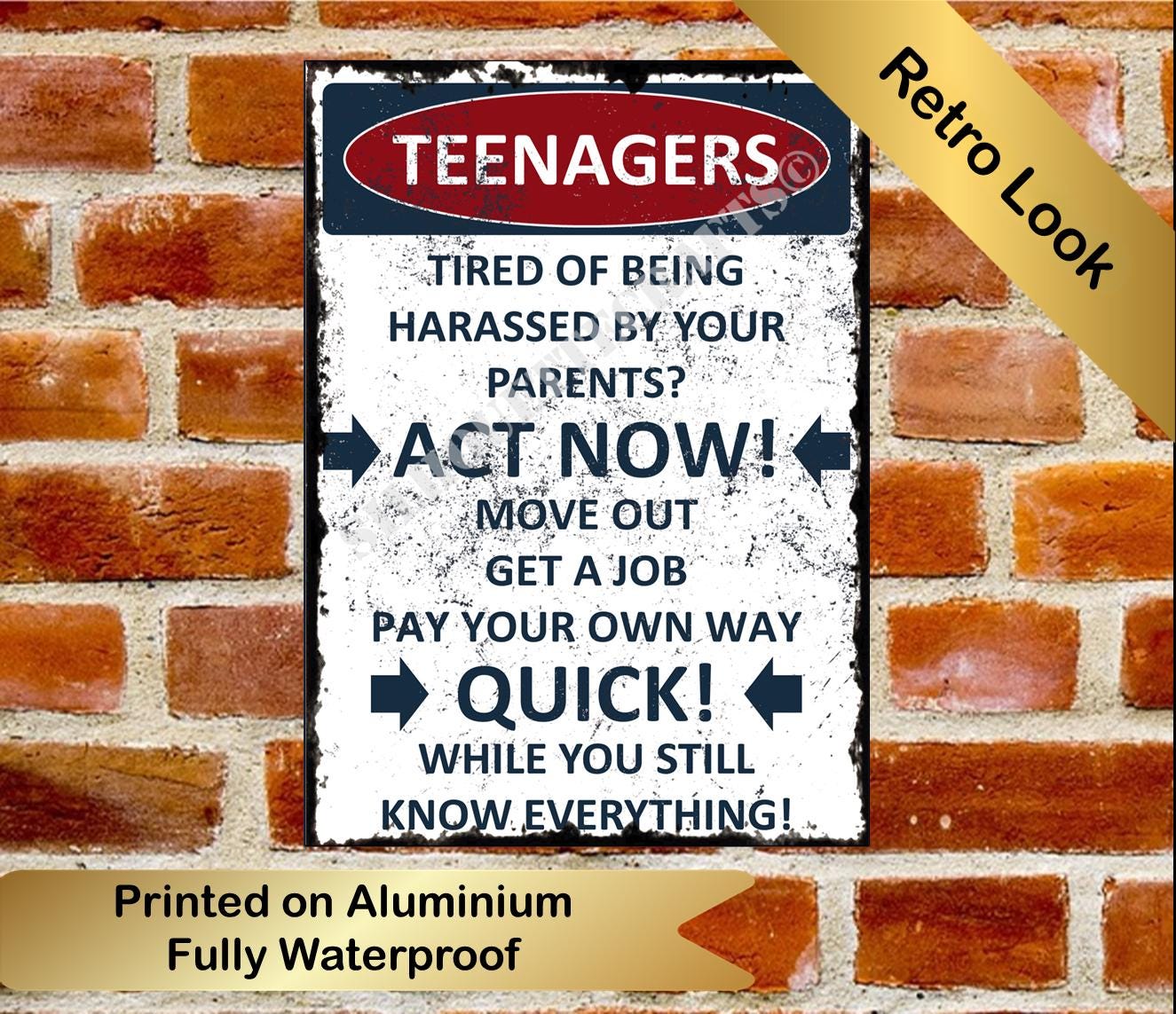 Funny Teenagers Metal Sign: Act Now, Bedroom Sign
