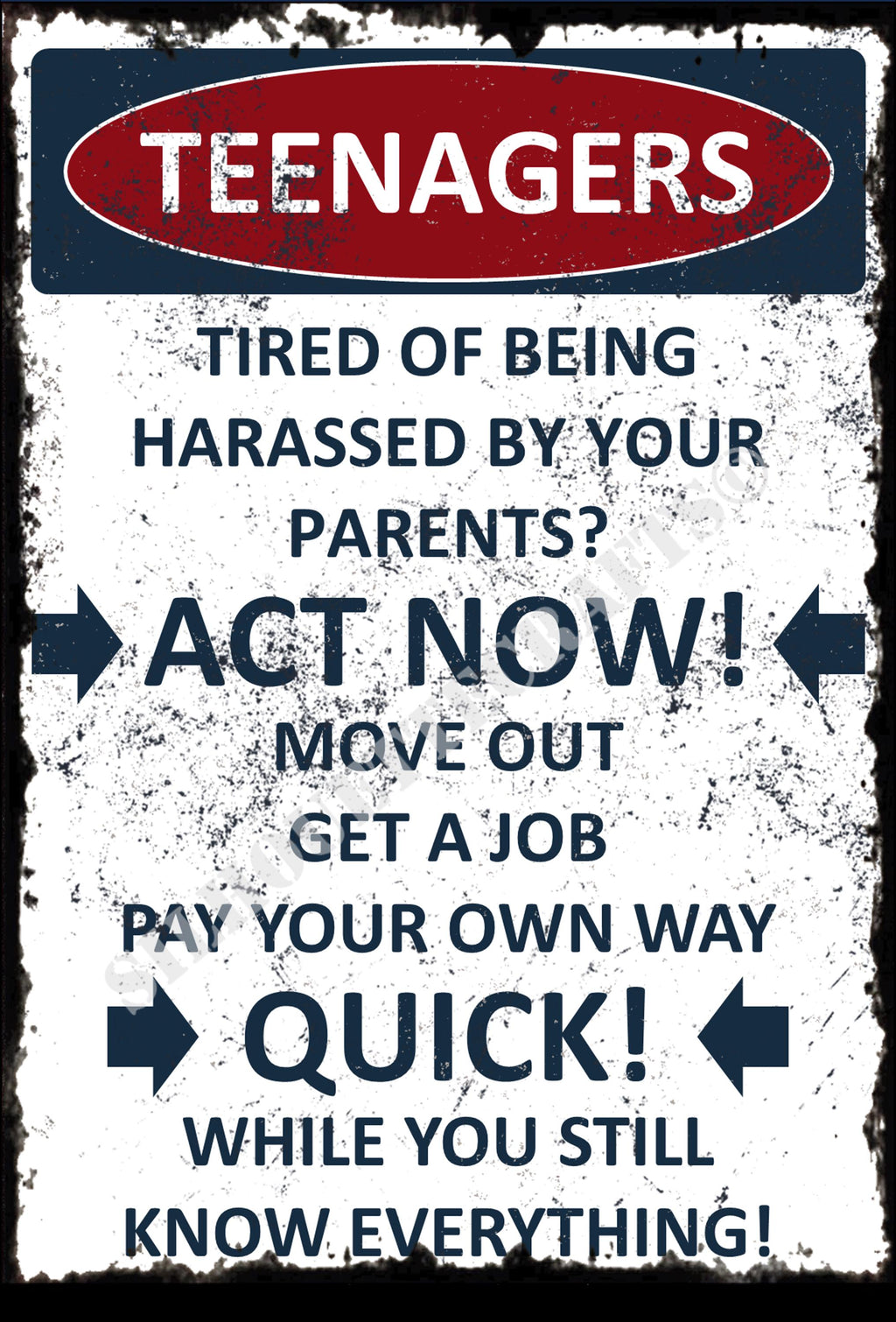 Funny Teenagers Metal Sign: Act Now, Bedroom Sign