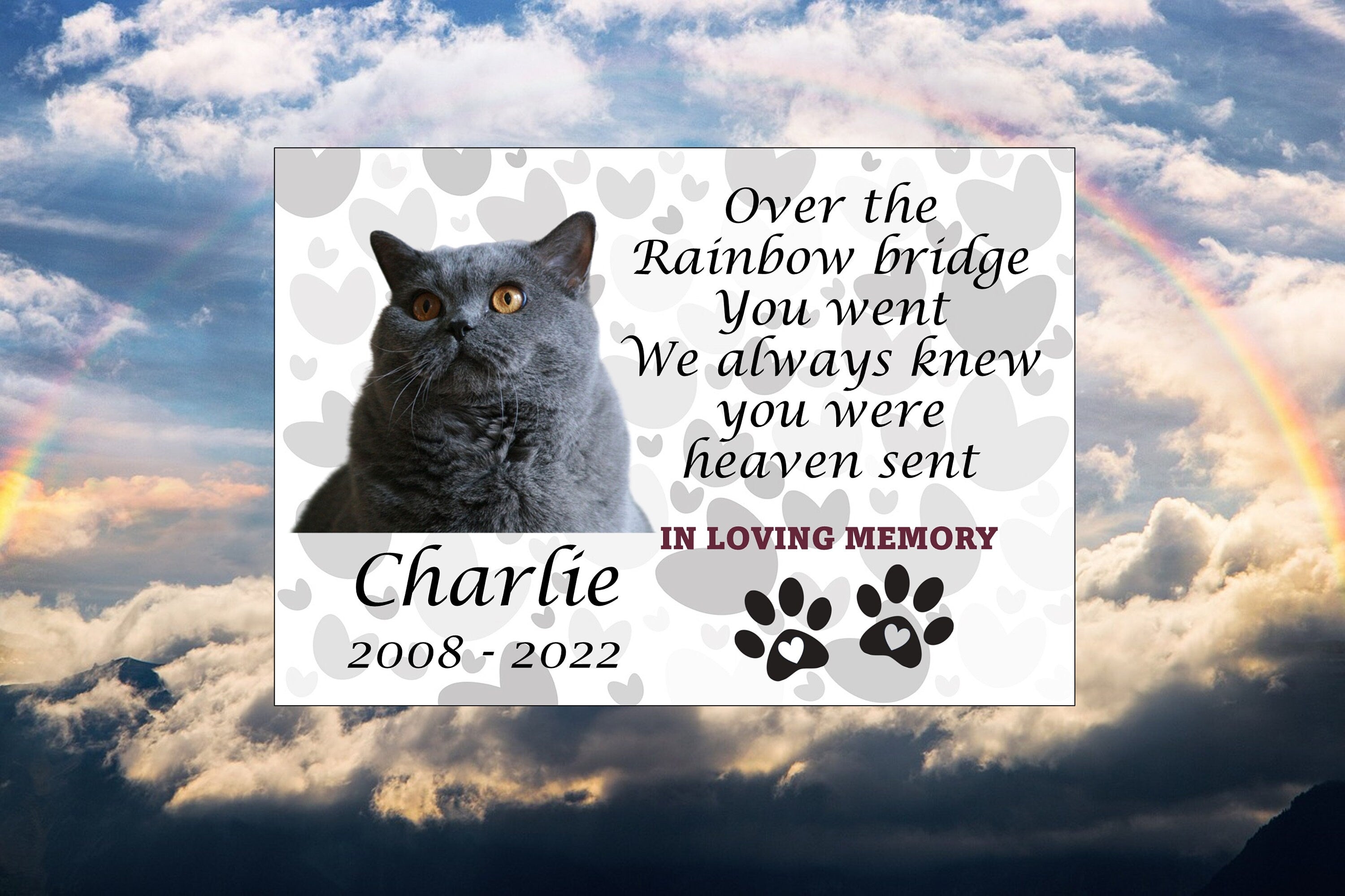 Personalized Pet Memorial Plaque: Weatherproof Aluminum with Photo