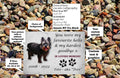 Personalized Pet Memorial Plaque: Weatherproof Aluminum with Photo