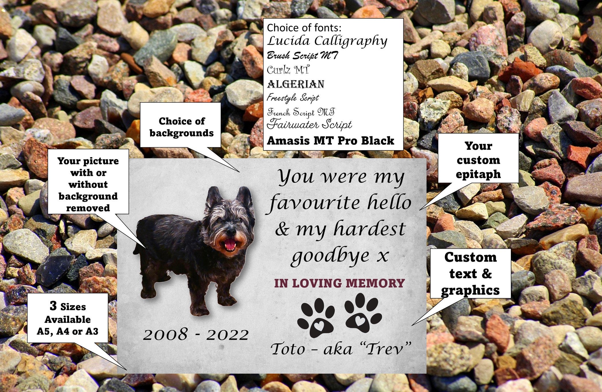Personalized Pet Memorial Plaque: Weatherproof Aluminum with Photo