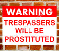 Funny Metal Sign, "Trespassers Will Be Prostituted" Great for Garage, Shed, Bar or Man Cave